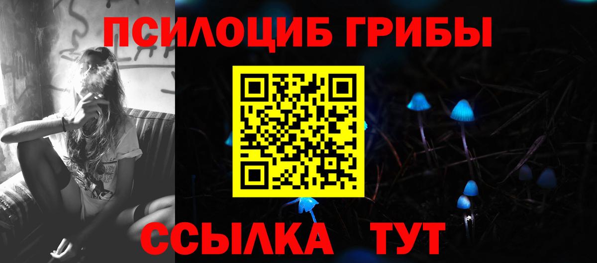 дарнет шоп  Галлюциногенные грибы мицелий  Вход с VPN  Городец  Галлюциногенные грибы мухоморы 